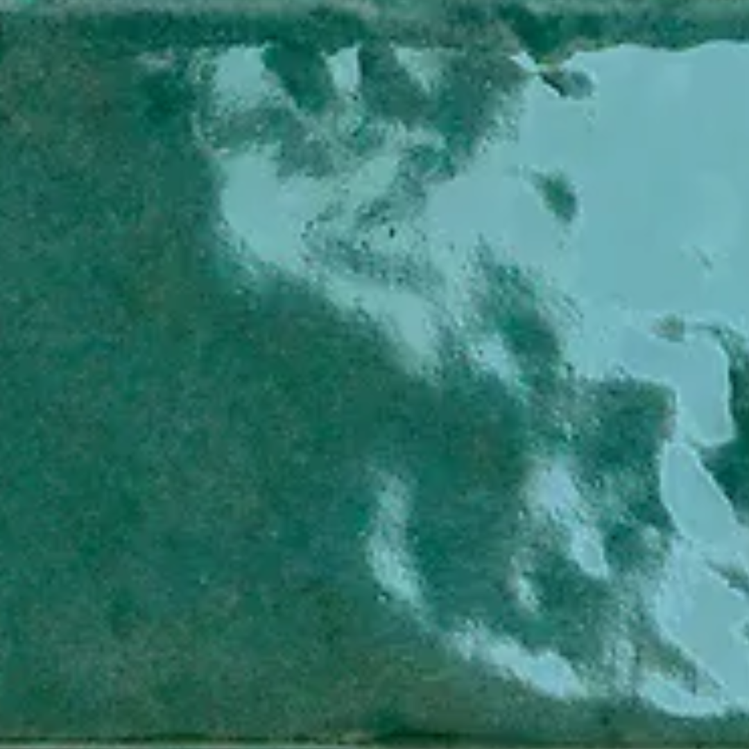 Cinder Green 16.5x16.5cm
