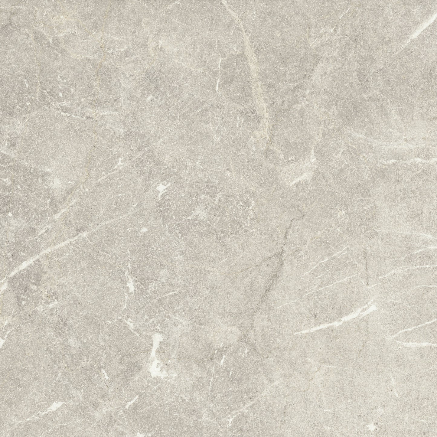Neptune Silver 30x60cm