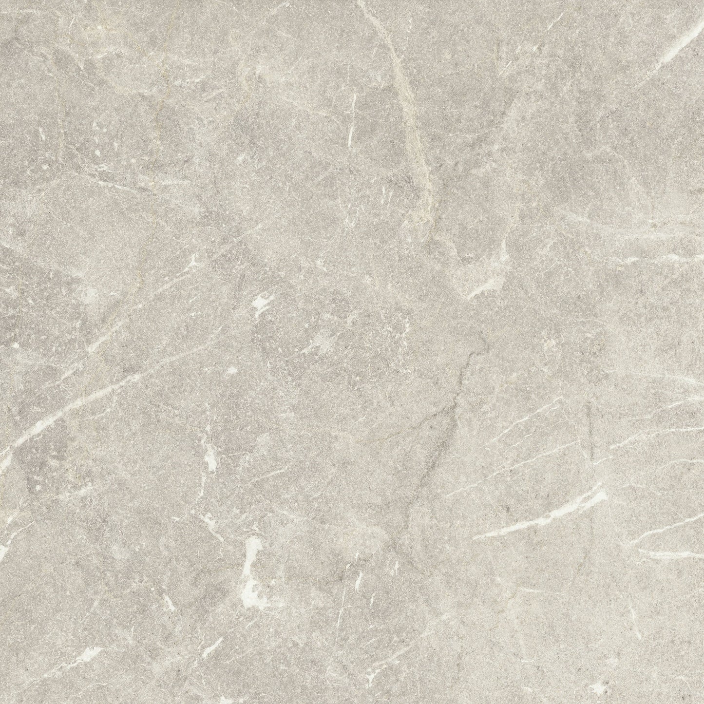 Neptune Silver 60x60cm