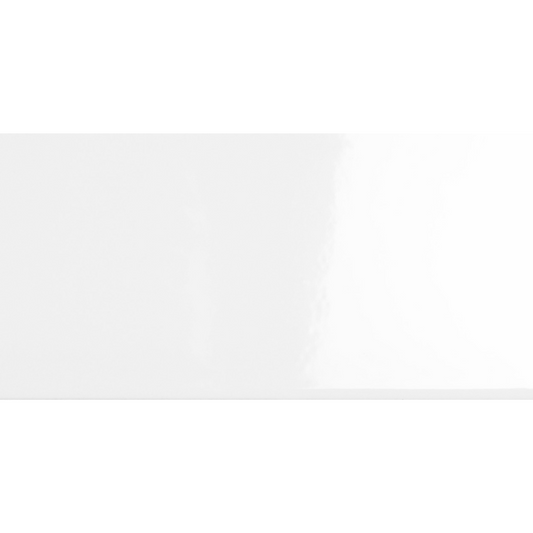 Gloss White 10x20cm